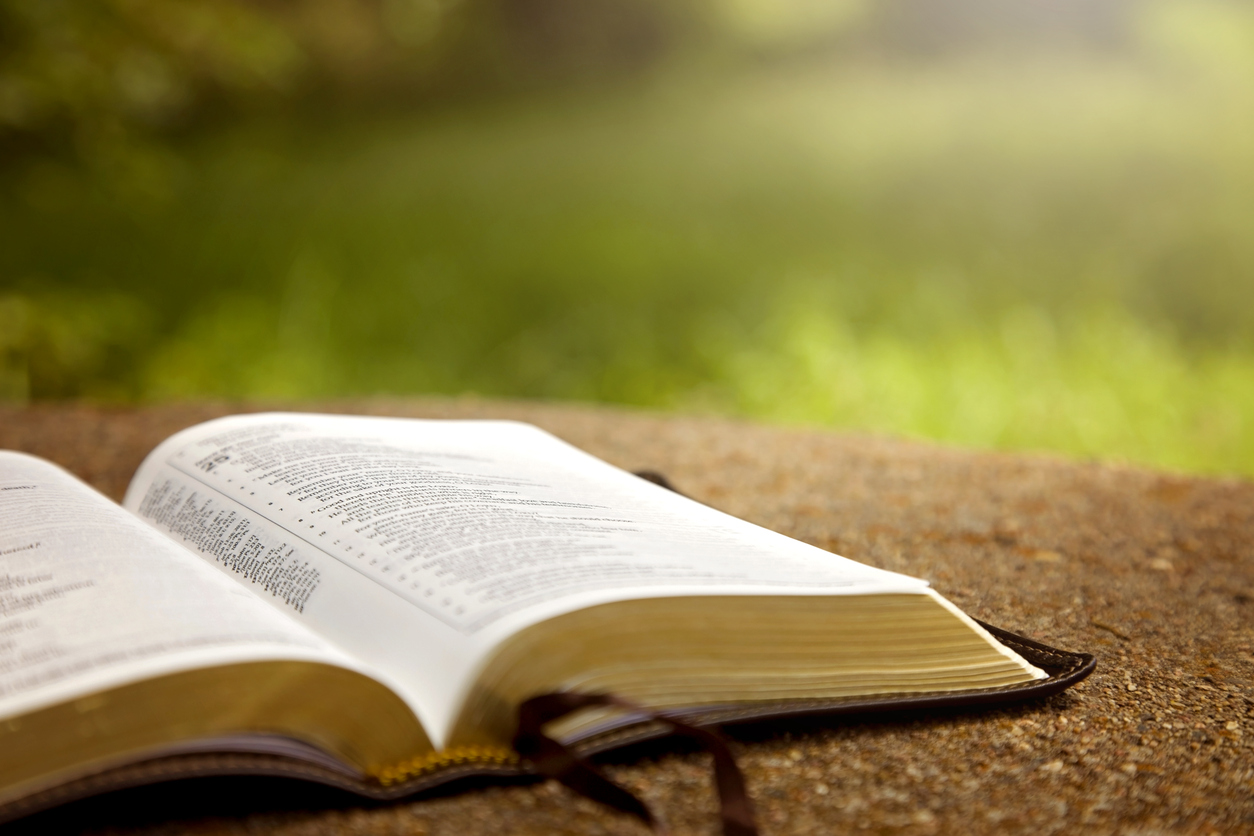 Zelophehad's Daughters: Pioneers of Women's Rights in Biblical Times The Moral Compass News How the world’s oldest story of a women’s rights campaign is the Bible