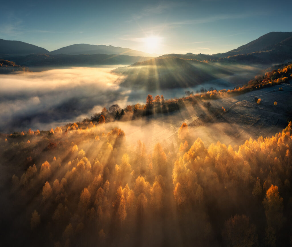 You are the light of the world and the salt of the earth: the power of Christian distinctiveness