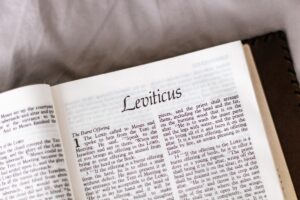 Leviticus: The Joyful Middle Book of the Torah