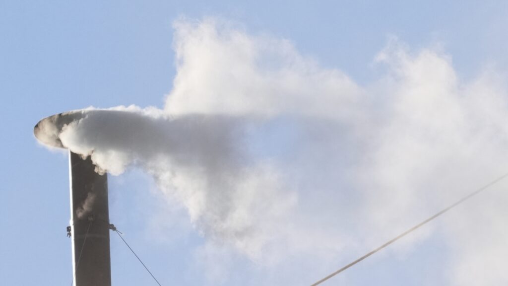 White smoke! Conclave chooses new pope : NPR