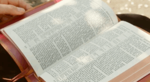 Cambridge University Press celebrates 100 years of the iconic Cameo Bible