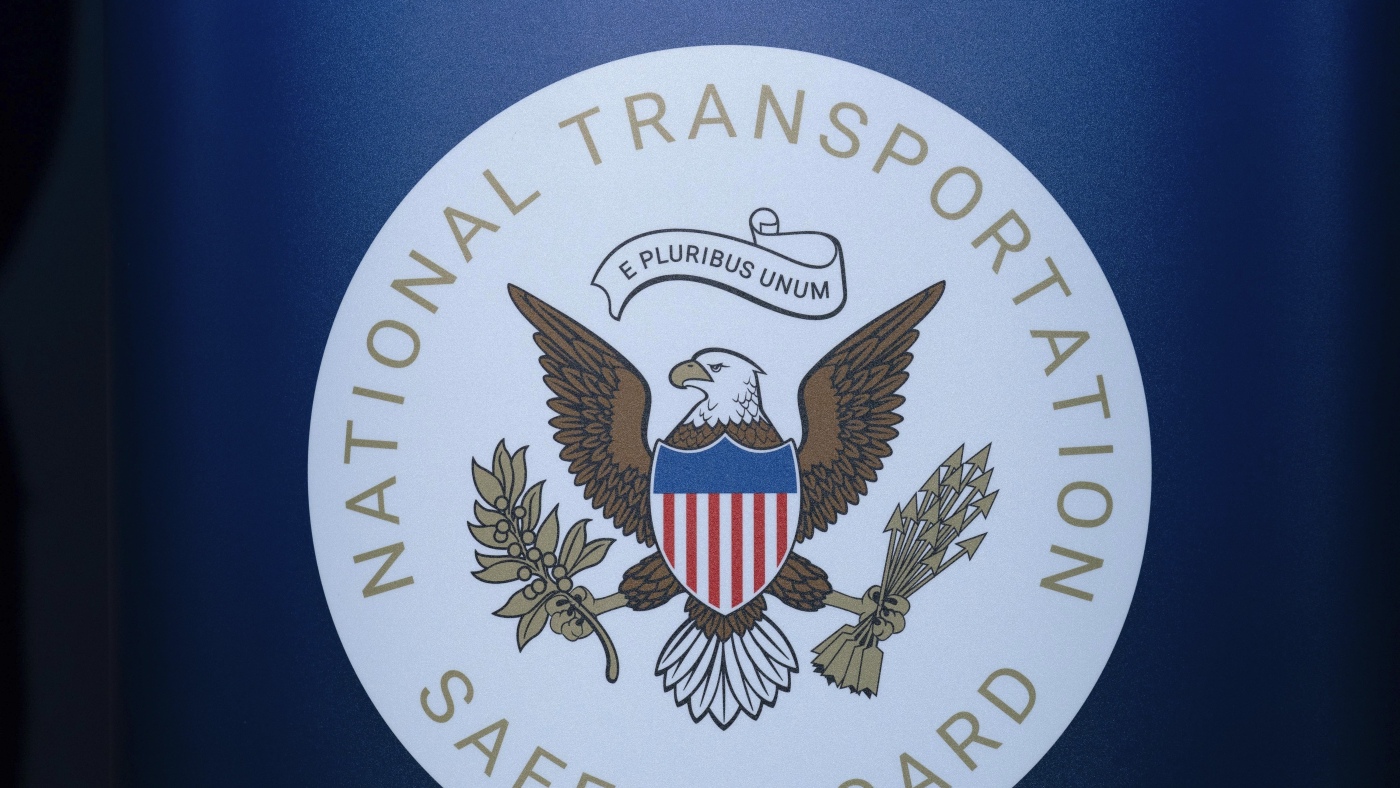 Pilot who died in a crash tried to avoid a turtle on runway : NPR
