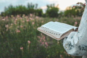 What does the Bible say about the Holy Spirit?