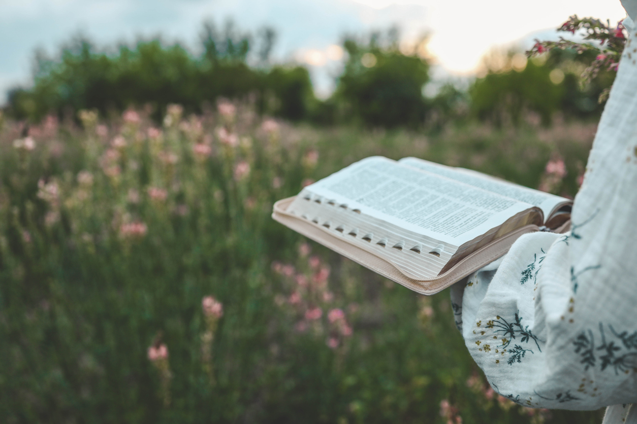 What does the Bible say about the Holy Spirit?