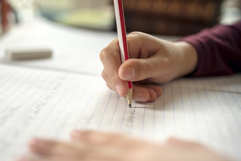 House of Lords hears concerns about 'surveillance' of homeschooling