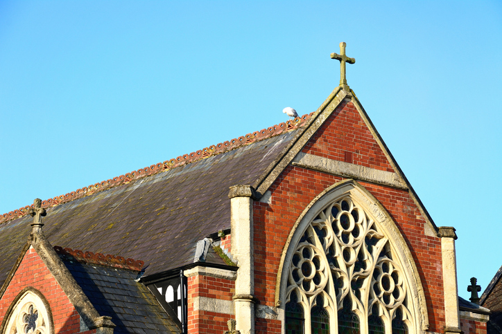 Zia Yusuf says Reform would protect the UK's Christian heritage
