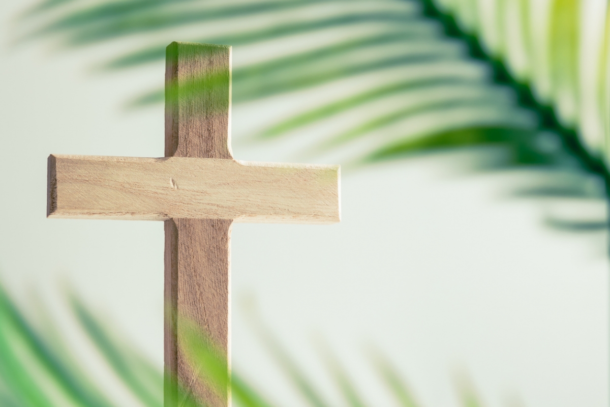 Palm Sunday Celebrating Jesus Humble Entry and Eternal Kingship The Moral Compass News Palm Sunday: the triumphal entry and its meaning for us today