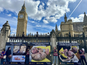 Pro-lifers show Parliament harsh reality of abortion up to birth