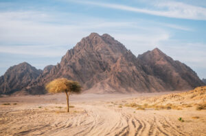 Why did the Lord speak to Moses in the desert?