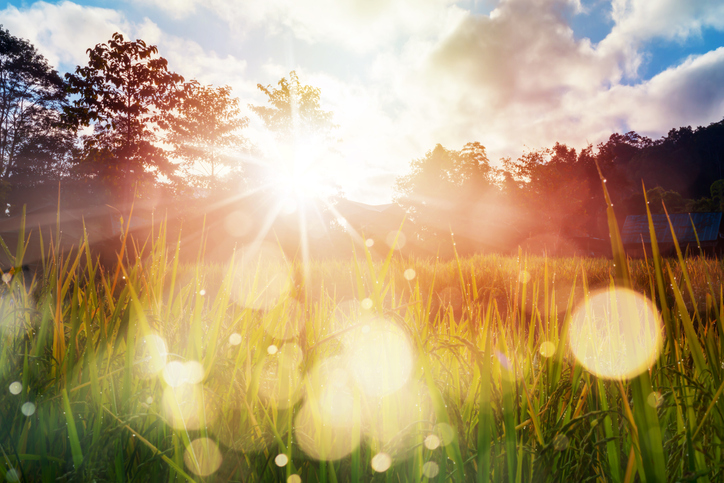 Understanding the Nine Attributes of the Fruit of the Holy The Moral Compass News What are the fruits of the Holy Spirit?