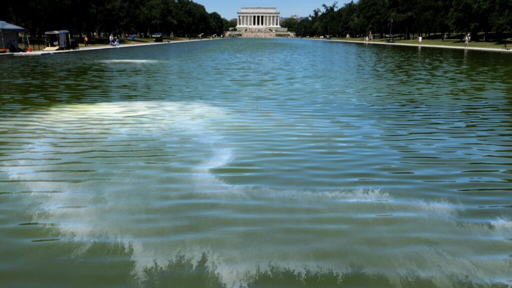 Algae turns reflecting pool green after repainting. Here's why : NPR