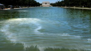 Algae Turns Lincoln Memorial Reflecting Pool Green After Renovation The Moral Compass News Algae turns reflecting pool green after repainting. Here's why : NPR
