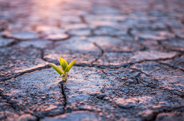 Life beyond burnout: how Christians can grow in the desert seasons