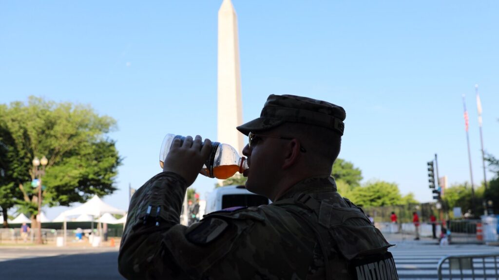 Washington's July 4 parade is off. The fireworks are still on : NPR