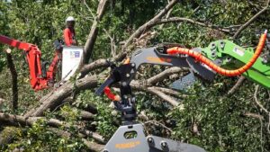 Thousands in northwest Indiana still without power nearly two weeks after storm : NPR