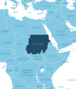 Pope Leo XIV appeals for peace in Sudan and Ukraine amid growing humanitarian crises
