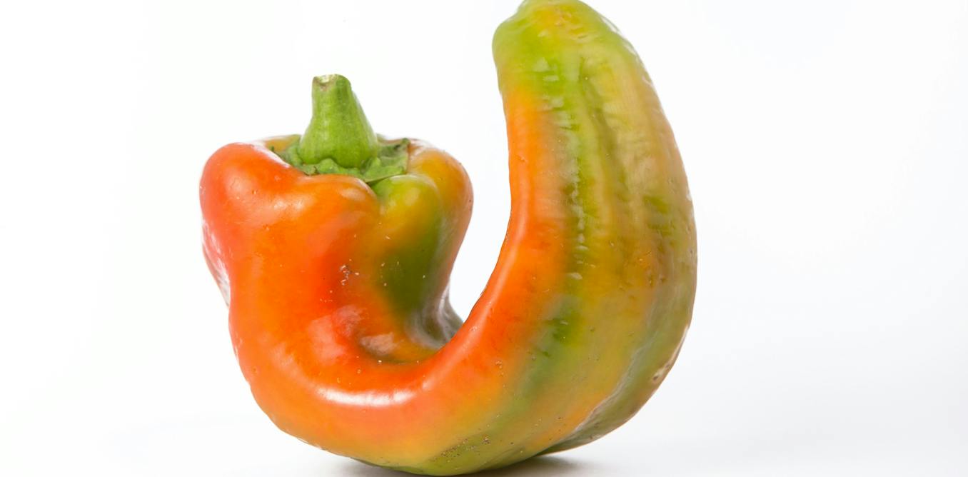 Americans are stressed about grocery prices so why do they The Moral Compass News Americans are stressed about grocery prices, so why do they toss or overlook so much ‘misfit’ food?