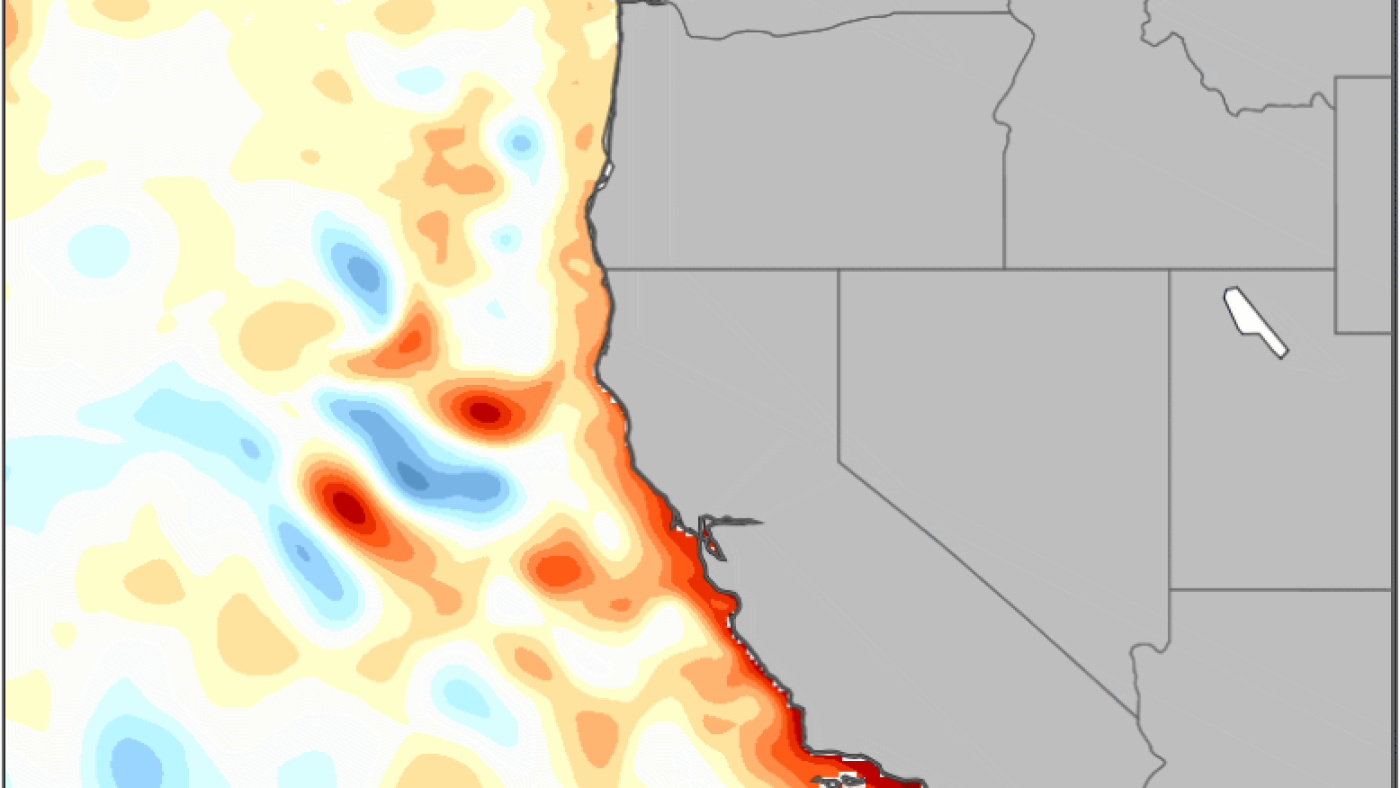 Kelvin Waves Impact West Coast Amid Super El Niño Phenomenon The Moral Compass News El Niño driven Kelvin Wave hits West Coast : NPR