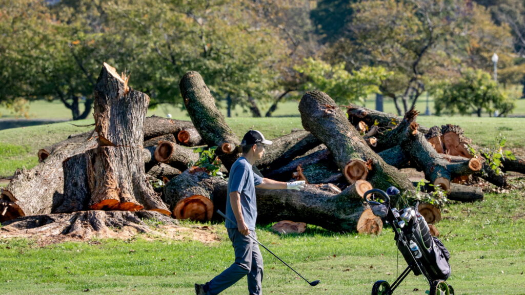 Trump Plans Renovations Amidst Legal Battle Over DC Golf Course The Moral Compass News Trump to close and renovate D.C. golf course, despite legal battle. : NPR
